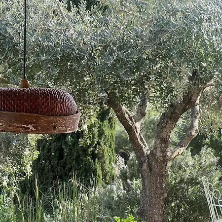 Ferienhaus Elba Porto Azzurro Mit Panorama Und Garten Feriehus