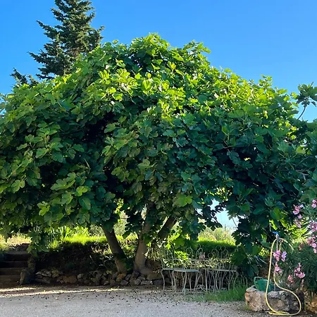 Ferienhaus Elba Porto Azzurro Mit Panorama Und Garten *