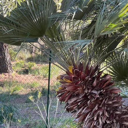 Feriehus Ferienhaus Elba Porto Azzurro Mit Panorama Und Garten Capo D'arco