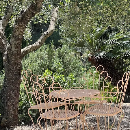 Ferienhaus Elba Porto Azzurro Mit Panorama Und Garten Feriehus