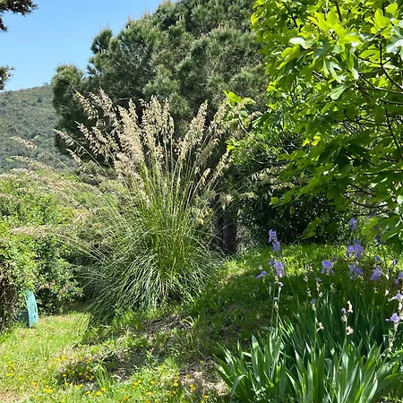 Ferienhaus Elba Porto Azzurro Mit Panorama Und Garten Feriehus *