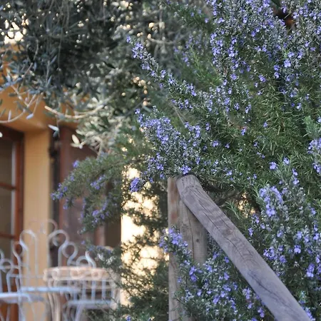 Feriehus Ferienhaus Elba Porto Azzurro Mit Panorama Und Garten *